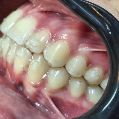 WhatsApp Image 2025-06-22 at 20.46.52